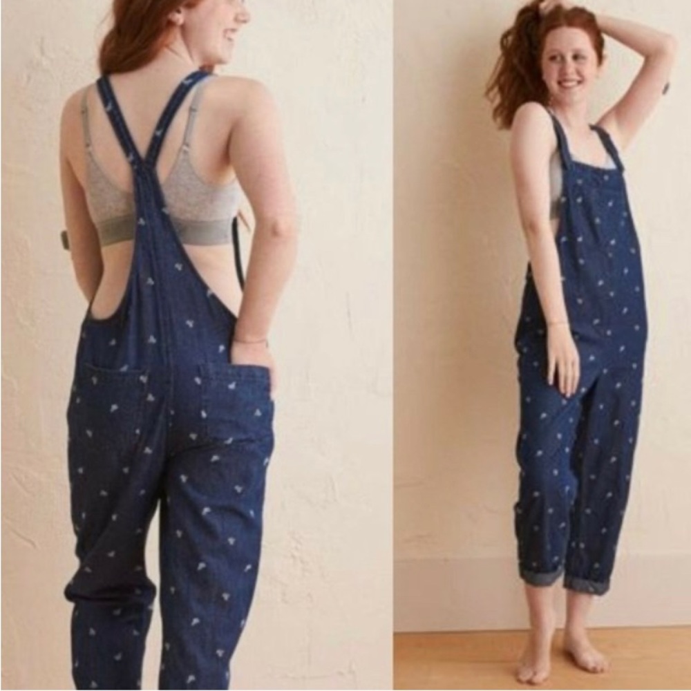 RARE Aerie Oversized Floral Embroidered Overalls